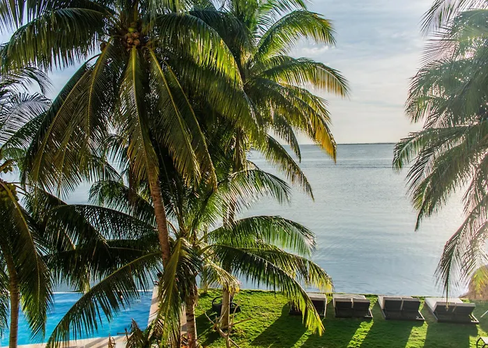 Casa Tortugas Boutique Hotel - A Hidden Gem In Cancun