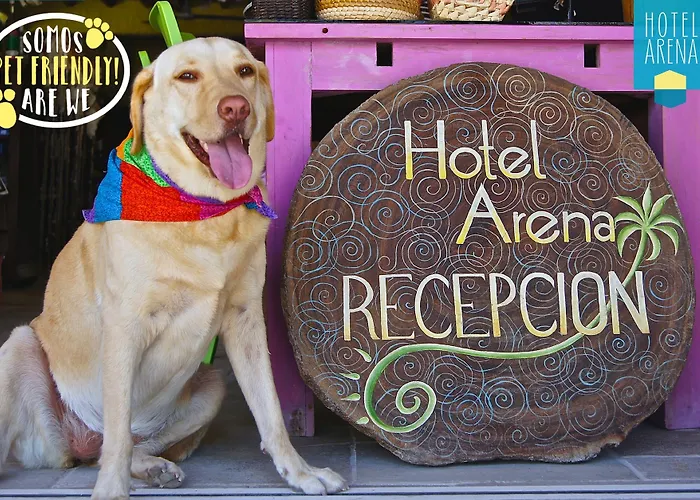 Hotel Arena